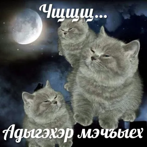 Чииии... Адыгэхьэр мэчъыев