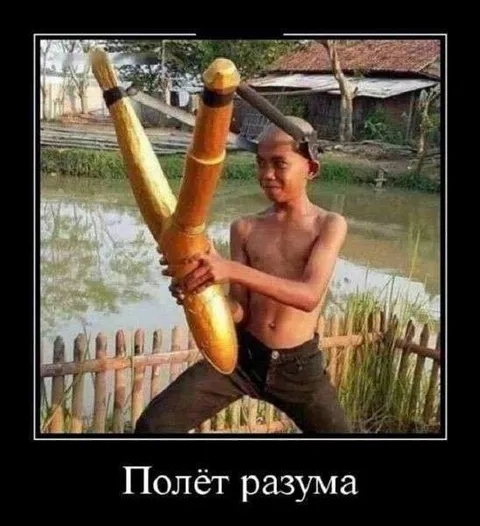 Полёт разума