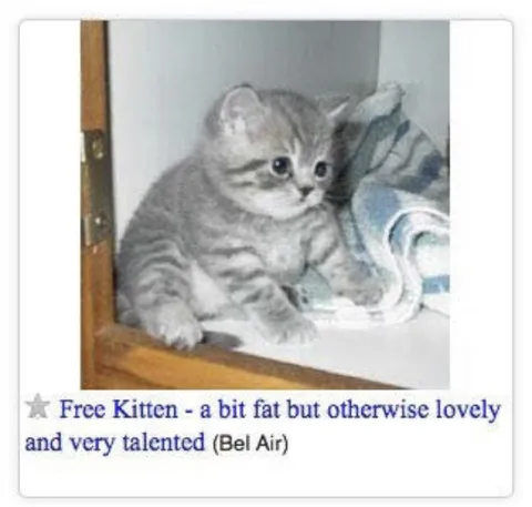 Free Kitten from Bel Air