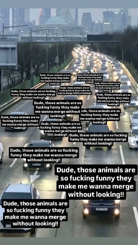 Funny Animals Make Me Merge