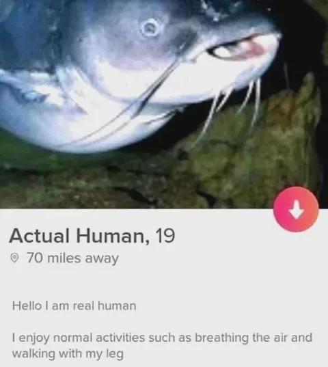 Actual Human Dating Profile