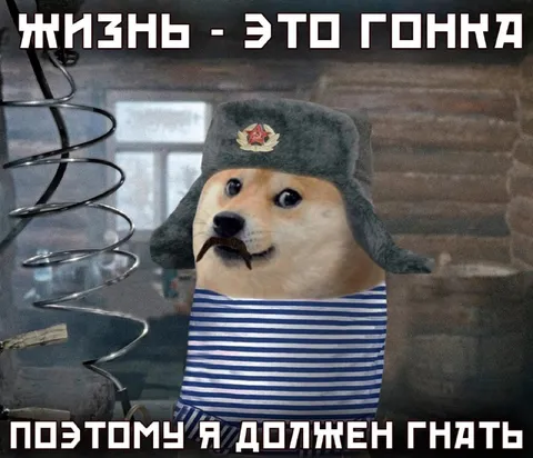 Жизнь — это гонка