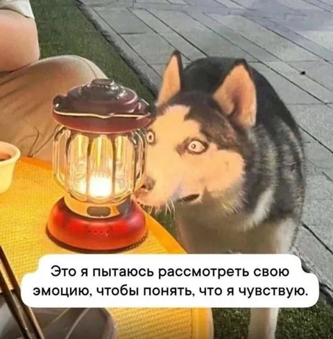 Рассматриваю свою эмоцию