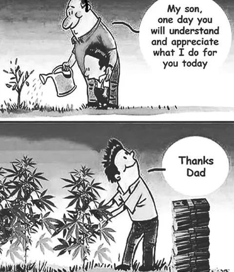Thanks Dad Cannabis Comic