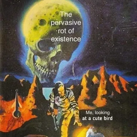 Looking at a Cute Bird