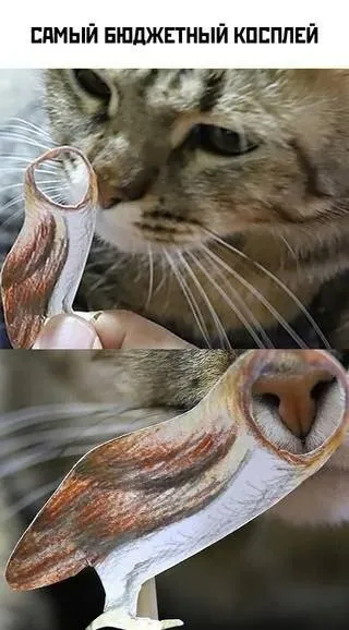 Самый бюджетный косплей
