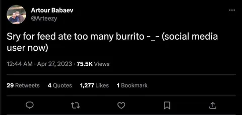 Too Many Burritos Social Media User