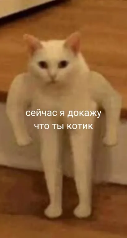Сделай хитрое и серьезное лицо