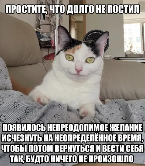 Кот, который внезапно исчезнет