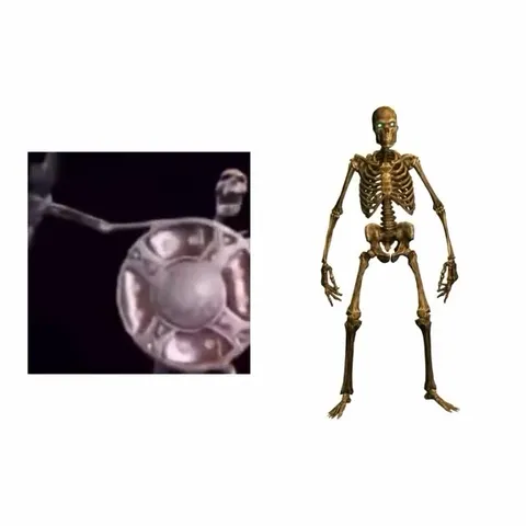 Skeletons Dance Anyway
