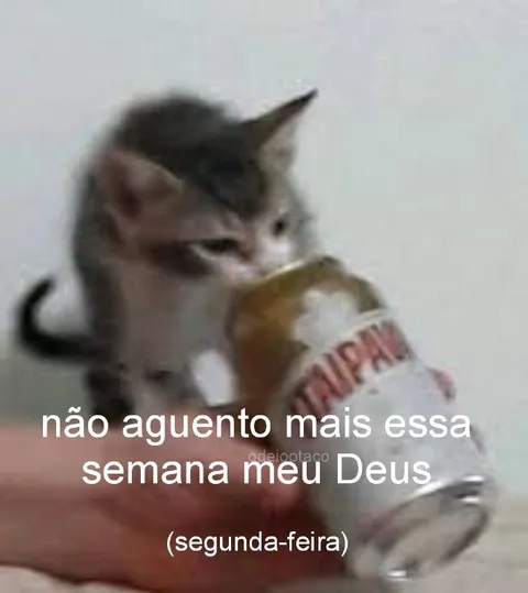 Não aguento mais essa semana