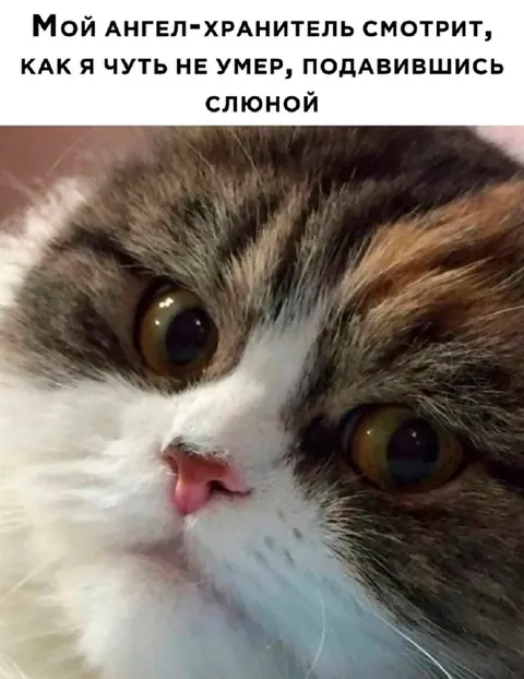 Ангел-хранитель и слюна