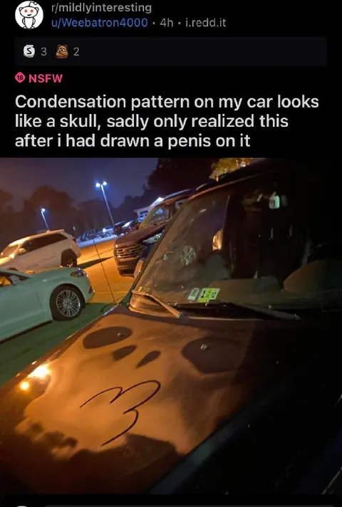 Car Hood Skull After Penis Drawing
