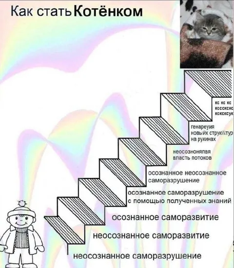 Как стать котёнком