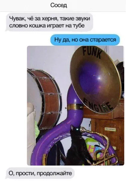 Кошка играет на тубе