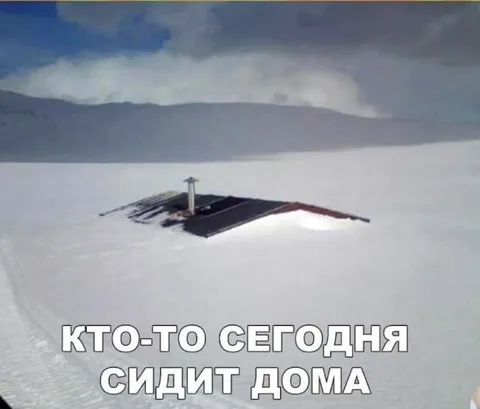 Кто-то сегодня сидит дома