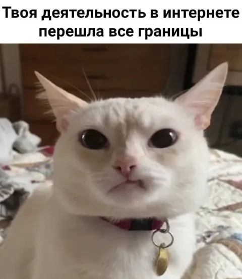Деятельность в интернете перешла границы