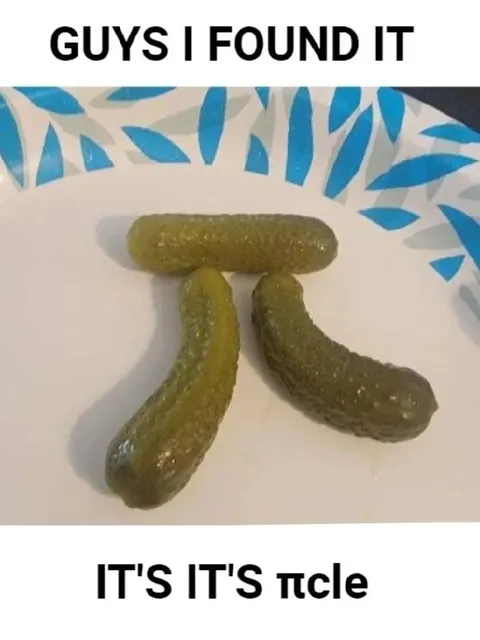 Guys I Found the Pickle