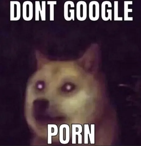 DONT GOOGLE PORN