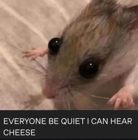 Mouse Hears Cheese