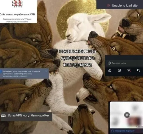 Пользователь суверенного интернета