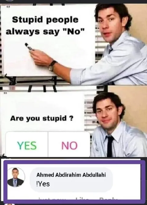 Stupid People Always Say No