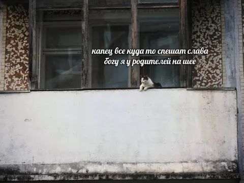 Слава богу я на шее родителей