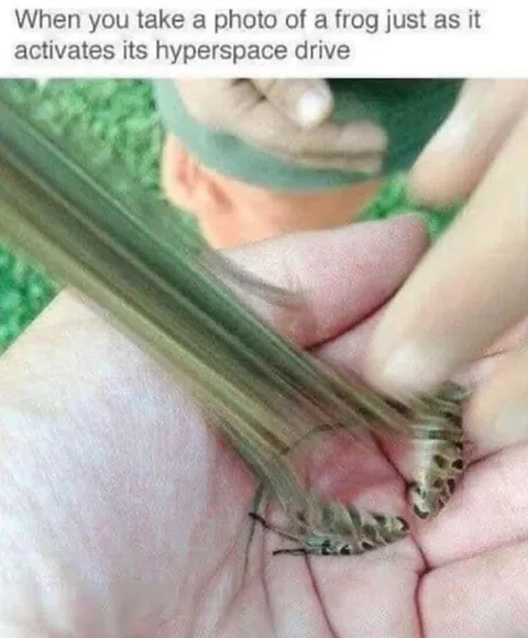 Frog Activates Hyperspace Drive