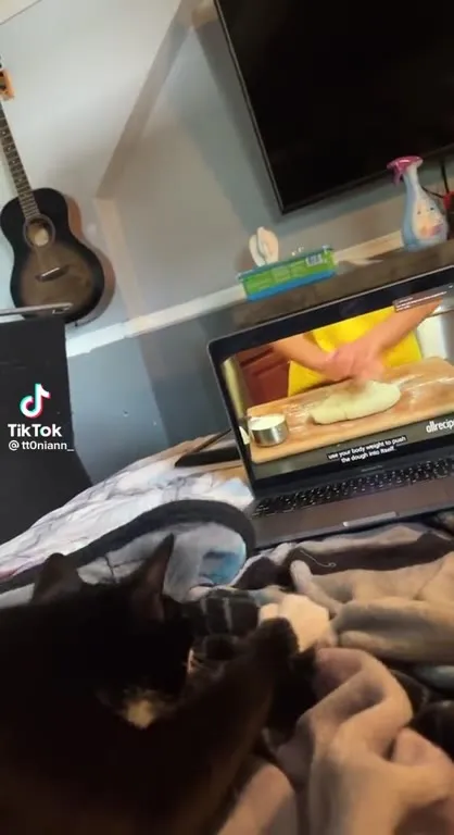 Cat Kneads Along With the Recipe