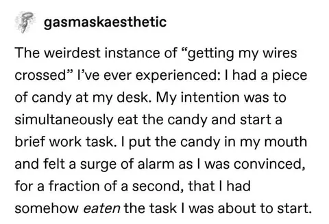 Accidentally Ate the Work Task