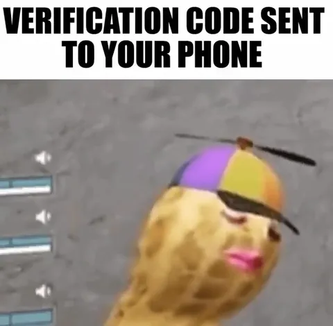 Verification Code Sent to Phone