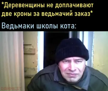 Ведьмаки школы кота