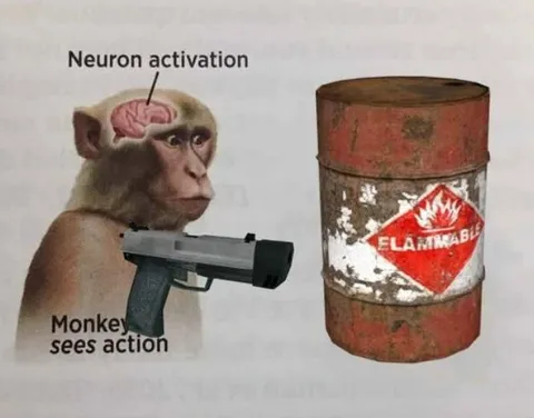Monkey Sees Action