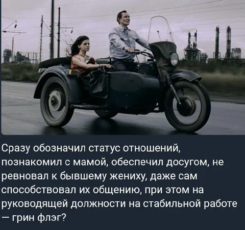 Идеальный отчим — грин флаг