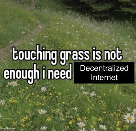Decentralized Internet Grass Meme