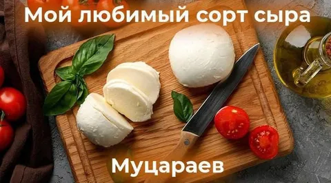 Сыр сорта Мучараев