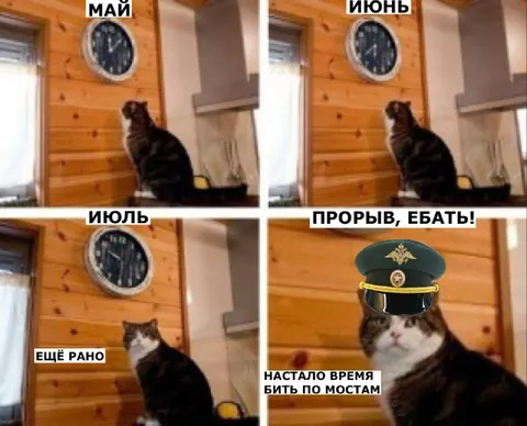 Кот ждёт время бить по мостам