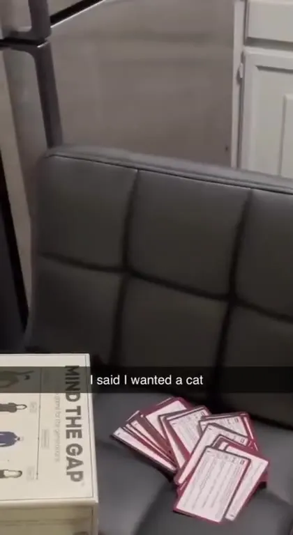 Dad Misunderstands the Cat Request