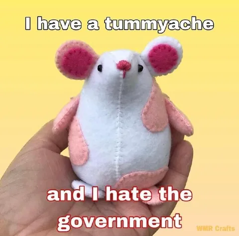 Plush Mouse Hates the Government
