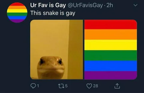 This Snake Is Gay