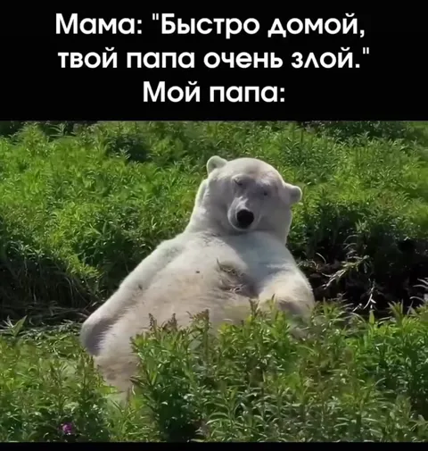 Папа очень злой