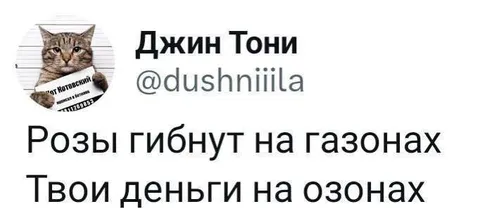 Розы гибнут на газонах
