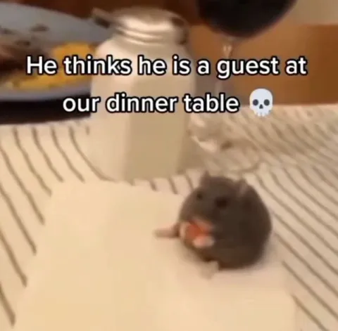 Hamster at the Dinner Table