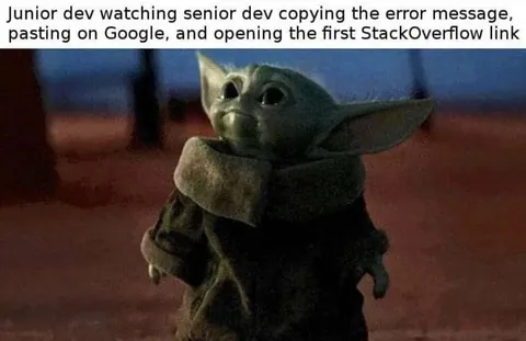Junior Developer Learns from Stack Overflow