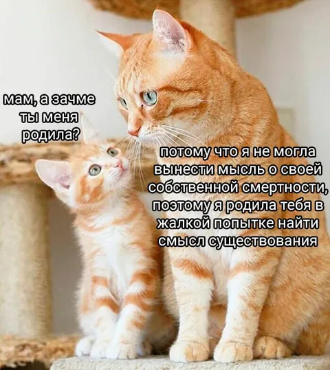 Мама объясняет смысл рождения