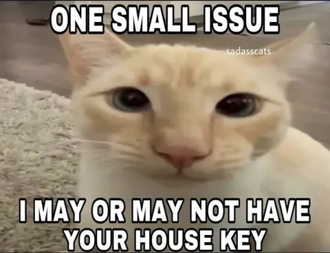 One Small Issue House Key Cat