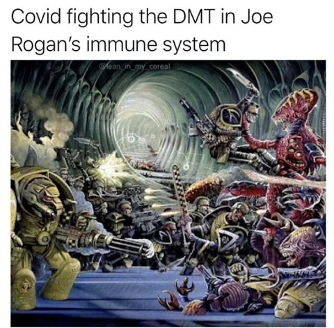 Covid Fighting Joe Rogan’s DMT