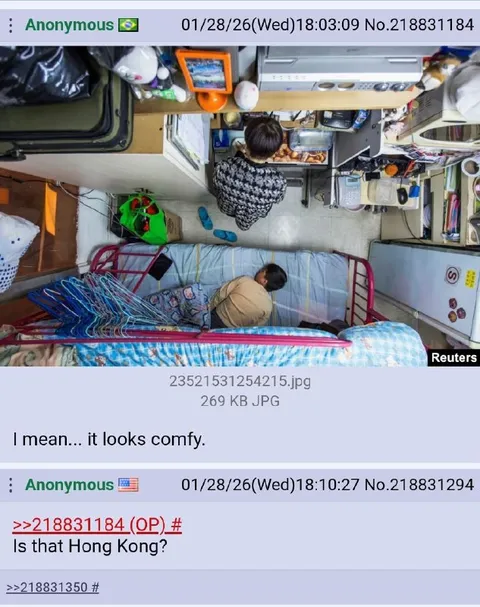 It Looks Comfy