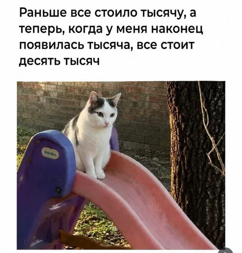 Когда всё резко подорожало