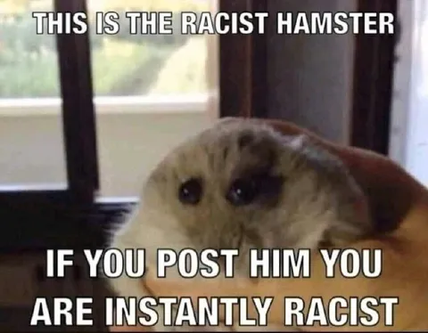 The Racist Hamster